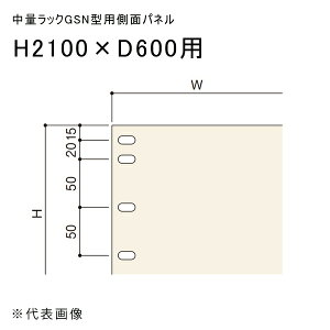 �y�����ʓr�z�y�����i�z���ʃ��b�NGSN�^�p���ʃp�l�� H2100×D600�p �A�C�{���[ �}�K���� GSN-SP2160C