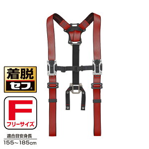 ^W}c[ Tajima ZtTXy_[A t[TCY bh SFSAF-RE