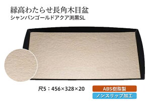 5 킽点 p ؖږ~ VpS[hANA SL@`âĂȂ` ~ g[ gC p^  gC ڂ Ɩp X ׂȂ ~ mXbv 