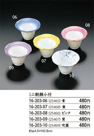 朝顔珍味入（吹墨）[ 和食器 珍味入れ 珍味 容器 器 小鉢 食器 : ].【 ヤマコー 】