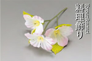 v`t[  200@`âĂȂ` opi   Ɩp aH aH  HV a ].y p }R[ z [you20-319-03]