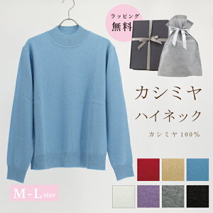 JV~ 100 Z[^[ nClbN fB[X jbg gbvX M L   JV~A  ޏ H~  bh  zCg  u[  x_[ O[ ubN  CG[