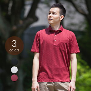 Y _C  Vc { St StEFA 蕨 VjA am jp 40 50 60 v[g Mtg