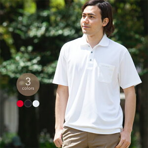 |Vc Y  ̎q { St StEFA 蕨 VjA am jp 40 50 60 v[g Mtg