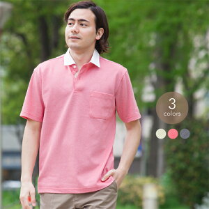 Y IjJmR  Vc { St StEFA 蕨 VjA am jp 40 50 60 v[g Mtg