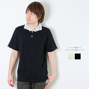 Y X[s} ̎q XgCv  |Vc { St StEFA 蕨 VjA am jp 40 50 60 v[g Mtg