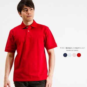 Y ACr[ nJmR  |Vc { St StEFA 蕨 VjA am jp 40 50 60 v[g Mtg