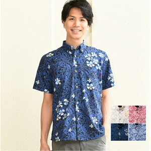 䂵EFA Y  AnVc AJoi[ {^_E {fBtBbg rWlX ][gEGfBO  jp 30 40 50 60 v[g Mtg