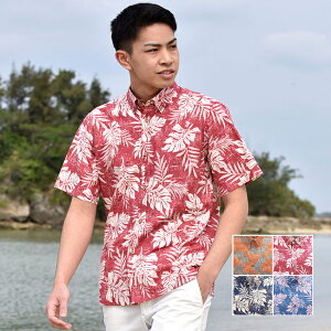 䂵EFA Y  AnVc [t {^_E rWlX ][gEGfBO  jp 30 40 50 60 v[g Mtg