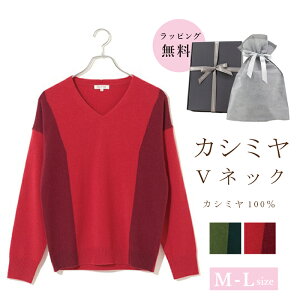 JV~ 100 VlbN fB[X Z[^[ jbg gbvX M L   JV~A  ޏ FB H~  bh  O[  Mtg NX}X v[g