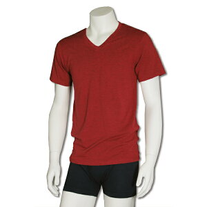 Y Y VVc { 蕨 VjA am jp 40 50 60 v[g Mtg