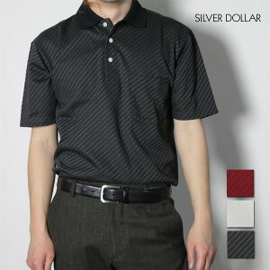 Y WK[h  |Vc { St StEFA 蕨 VjA am jp 40 50 60 v[g Mtg