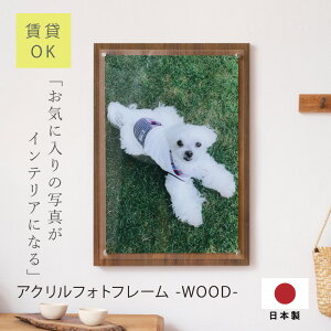 Ǌ| tHgt[ ʐ^ 29.7×42×3cm {  ANtHgt[-WOOD-  v[g A Mtg ybg qǂ  Ƒ c ؐ A[g pl  