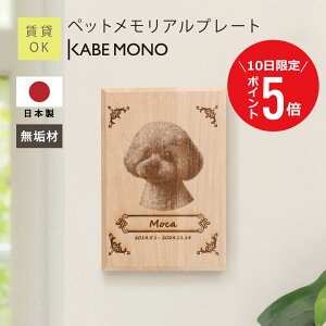 y1210 () P5{z ybg ʔv ʐ^  e A v[g  { C y ybgAv[g z  L AObY I[_[Ch ybgʔv  