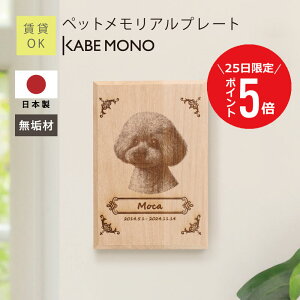 y1125 () P5{z ybg ʔv ʐ^  e A v[g  { C y ybgAv[g z  L AObY I[_[Ch ybgʔv  