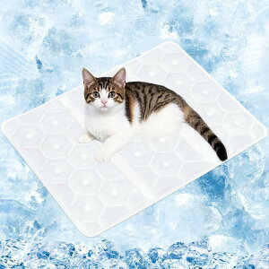 y10%OFFzЂ}bg ybgp  L N[}bg PCM ⊴}bg ⊴~pbh Ђ~}bg }bg ⊴pbh Q MǑ΍ IȂ JԂg ܂߂ 