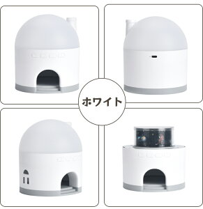 vl^E vWFN^[ X^[vWFN^[Cg iCgv 󃉃Cg ^ V e ƒp q LbY xr[ Ԃ   킢 q xbhT