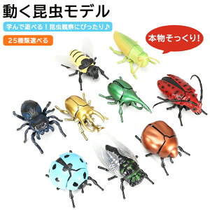 y15%OFFzy25ށz A   f ̂ ~j  ߋ lC ͌^ u  n` N Z~ egEV RKlV ob^ J~LV q 