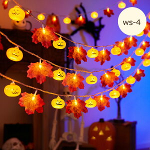 yP5{+10%OFFznEB Cg LEDCg C~l[V K[hCg USB dr h O  Cg 1.5`6M 10  20 30 40 ڂ H  RE ݂ 