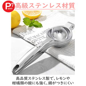 cesa beams i nhW[T[ 蓮 ڂ  XNC[U[  i i@ i肫 vX ʏ` t[c ʕ 䂸  W[X Lb`