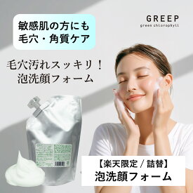 【楽天限定／詰替】【公式】泡洗顔フォーム ［ 詰替380mL ］ 大容量 毛穴 角質ケア 敏感肌 低刺激 日本製 GREEP｜2個で送料無料