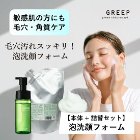 【セット／送料無料】【公式】泡洗顔フォーム 本体155mL＋詰替380mL 毛穴 角質ケア 低刺激 洗顔フォーム 泡洗顔 GREEP［本体＋詰替］