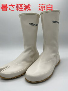  gN^[V[Y ҕt  TRW-8 TRW-88 zCg }Jc { 22.5`29.5cm t@Xi[ hS C ct@Xi[thn