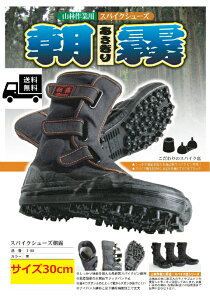  XpCNV[Y   I-88 30cm SsXpCN n܌^ u[c jp