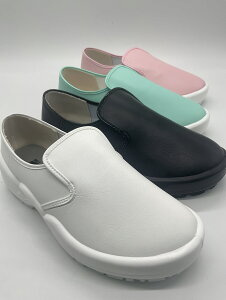  VFtCg [7000 ~[V[YC 22`31cm   ~g sN XJC OiS { ϖ R RbNV[Y