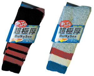  ɌoL[\bNX 1  M[i32cmj 8541 ubN O[ SC oR ƌC  h\bNX Y pC 24-27cm j[h