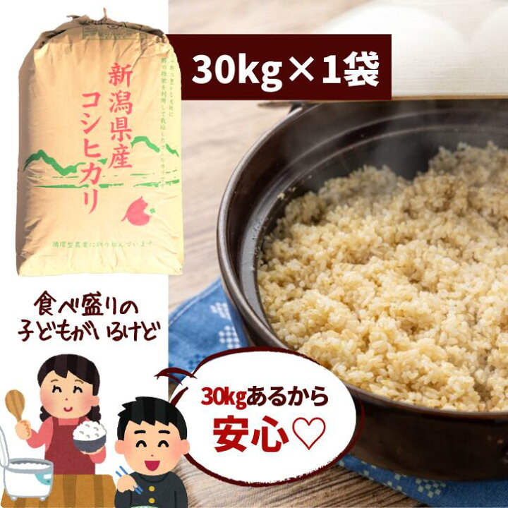 楽天市場】500円OFFクーポン配布中 新米 米 30 キロ 減農薬 30kg 玄米 