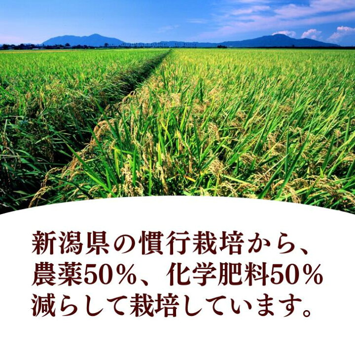 楽天市場】500円OFFクーポン配布中 新米 米 30 キロ 減農薬 30kg 玄米  