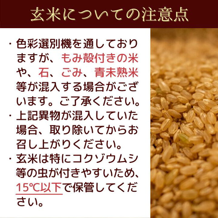 楽天市場】米 30 キロ 減農薬 30kg 玄米 新潟 コシヒカリ 精米サービス 