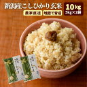 200円OFFクーポン対象 新潟 玄米 コシヒカリ 10kg 米 5kg×2袋 減農薬 令和7年 農家直送 送料無料 (沖縄を除きます) 甘い こしひかり コメ キッチン ガーデン とみおか 贈答用 新潟産 新潟県産 kh r4 r4s 3n 50y 60y