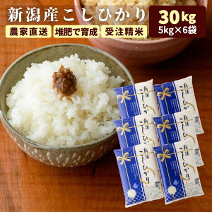 30kg 令和6年」の人気商品一覧 | 安い商品を通販サイトから探す - 価格.com