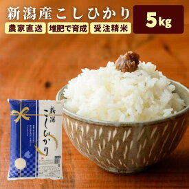 ＼エントリーでポイント10倍★マラソン／ 米 5kg 送料無料 (本州四国のみ) コシヒカリ 5kg 新潟 減農薬 お米 5キロ 令和5年 新潟 コシヒカリ 新潟 米 ギフト 美味しい お米 農家直送 送料無料 (本州四国のみ) 内祝い 出産 白米 香典返し kh r4 r4s 2n 3n 50y 60y gf sl ssss