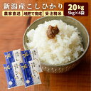 200円OFFクーポン対象 20kg 新潟 コシヒカリ 米 5kg×4袋 美味しい 米 減農薬 令和7年 お米 20キロ こしひかり 新潟産 ギフト niigata 贈答用 農家直送 送料無料 (沖縄離島は除く) こめ コメ 白米 精米 新潟県産 kh r4 r4s 3n 50y 60y gf ssss