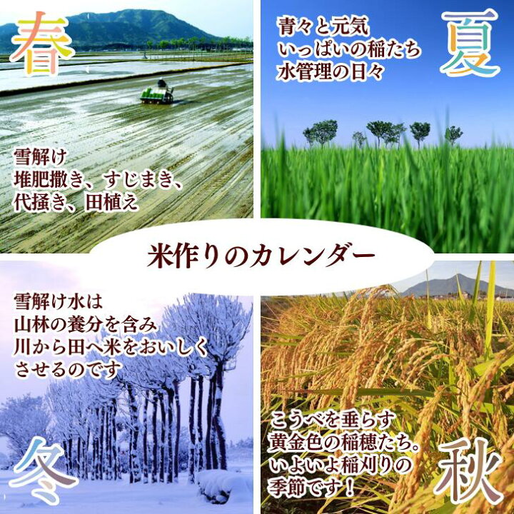 楽天市場】【10月再販予定】 米 30 キロ 減農薬 30kg 玄米 新潟  