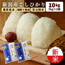 お歳暮 新米 令和7年 新潟 コシヒカリ 米 10キロ 減農薬 お米 5kg x2 こめ 美味しい お祝い返し 新潟県産 こしひかり 受注精米 送料無料 (沖縄を除く) コメ ギフト 白米 精米 贈答用 内祝い 出産 kh r4 r4s 3n 50y 60y gf ssss