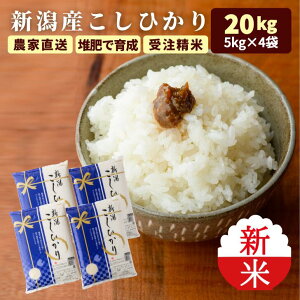 HVՂΏ V ߘa7N 20kg V RVqJ  5kg×4   _  20L Ђ VY Mtg niigata p _ƒ  (ꗣ͏)  R  