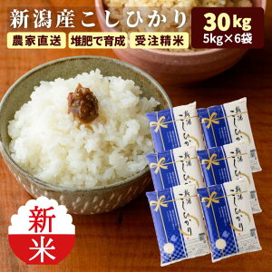 V ߘa7N 30kg V RVqJ   5kg×6 _ _ƒ  VY  (ꗣ͏) 󒍐  R  Mtg p VY niigata kh r4 r4s 3n 50y 60y gf ssss