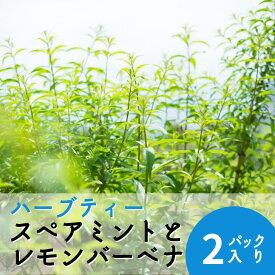 楽天市場 ハーブティー ミントの通販