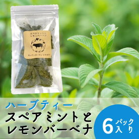 楽天市場 ハーブティー ミントの通販