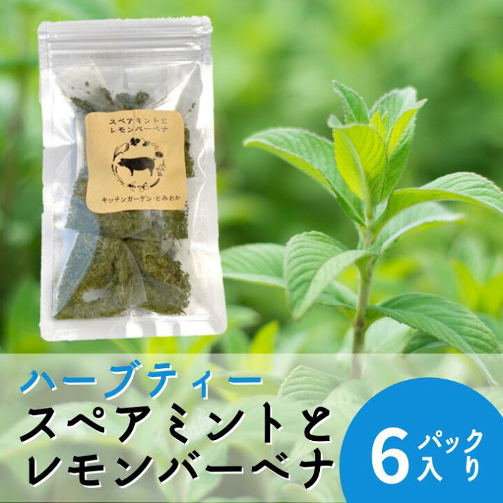 楽天市場 完売いたしました 5月から販売を再開する予定です 自家製ハーブティー ミントとレモンバーベナ ハーブティー ティーバッグ 6パック スペアミント レモンバーベナ 自家農園 新潟県産 ハーブガーデン 無添加 お取り寄せ ギフト国産 プレゼント キッチン