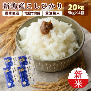 V ߘa7N 20kg V RVqJ  5kg×4   _  20L Ђ VY Mtg niigata p _ƒ  (ꗣ͏)  R   VY kh r4 r4