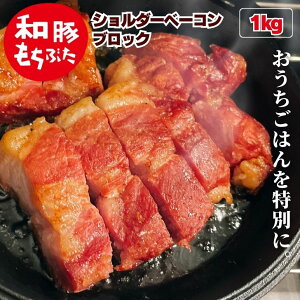 a Ԃ V_[ x[R ubN 1kg Ⓚ Y   ^pbN BBQ  ({Bl̂)  w Y V ؓ S V Y  O 