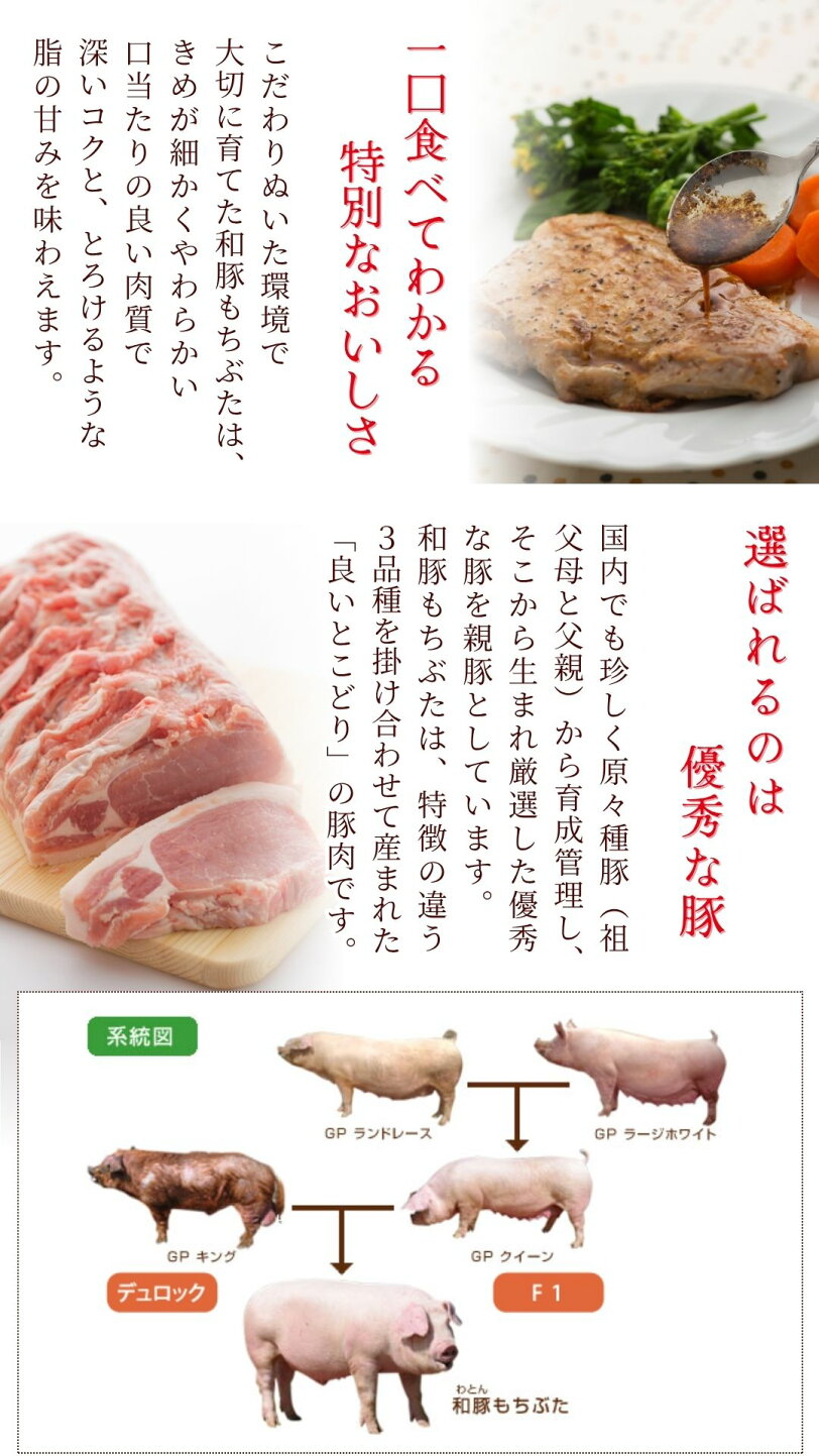 もち 豚 と は