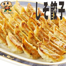 【送料無料】宇都宮餃子館 しそ餃子(しそ1.4%入り)(48個入)【栃木県・宇都宮餃子会加盟店】餃子 ぎょうざ 宇都宮餃子 健太餃子