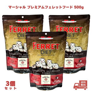 }[V v~A tFbgt[h 500g tFbg t[hY tFbgph{H tFbgt[h xr[ A_g GT  a