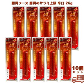 銀河フーズ 銀河のサラミ上級 辛口 26g 10個